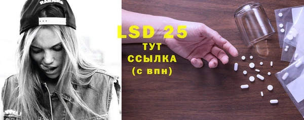 прущие грибы Верея