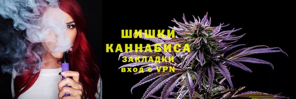 дживик Верхний Тагил