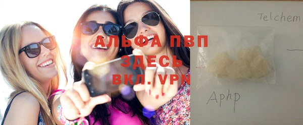 дживик Верхний Тагил