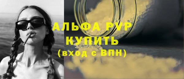 стаф Володарск