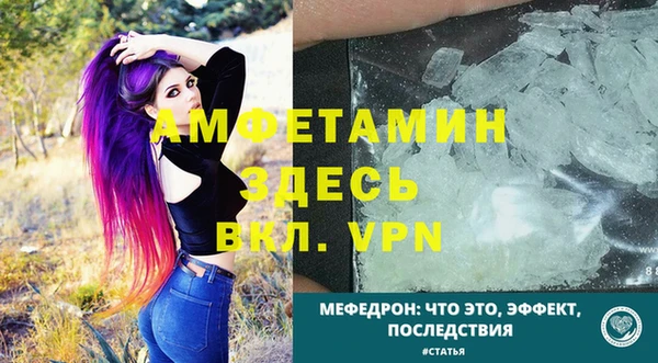 прущие грибы Верея