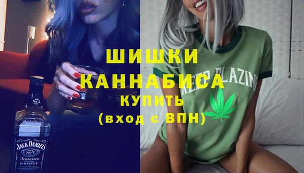 прущие грибы Верея